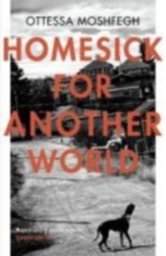 Moshfegh, Ottessa: Homesick For Another World idegen