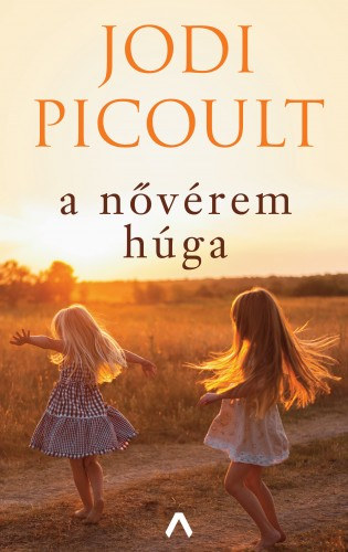 Jodi Picoult: A nővérem húga e-Könyv