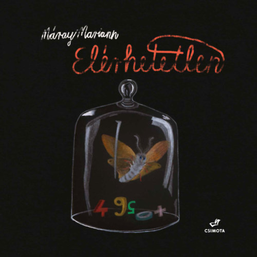 Máray Mariann: Elérhetetlen könyv