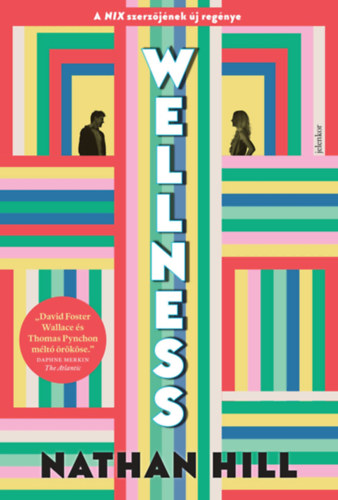 Nathan Hill: Wellness könyv