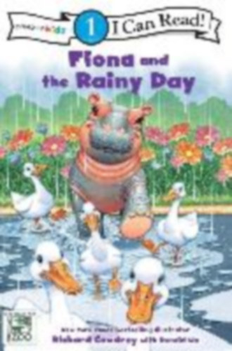 Zondervan: Fiona and the Rainy Day idegen