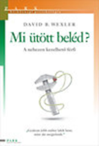 David B. Wexler: Mi ütött beléd?- A nehezen kezelhető férfi (Hétköznapi pszichológia) antikvár