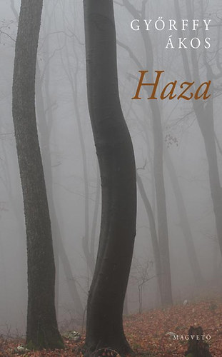 Győrffy Ákos: Haza könyv