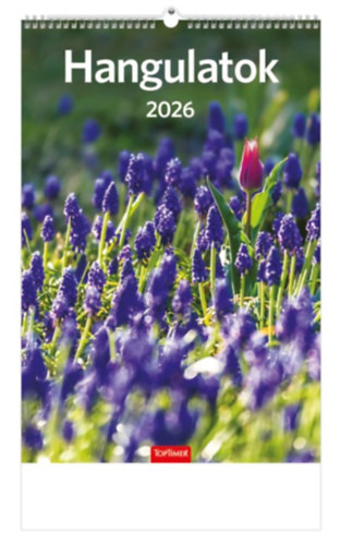 Hangulatok falinaptár 22x33 cm - 2026 naptár