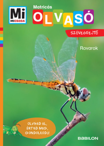 Rovarok - Mi Micsoda Olvasó - Matricás szövegfejtő akciós termékkép 1