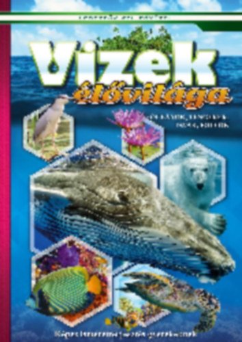 Vizek élővilága - Óceánok, tengerek, folyók, tavak - Képes ismeretterjesztés gyerekeknek antikvár