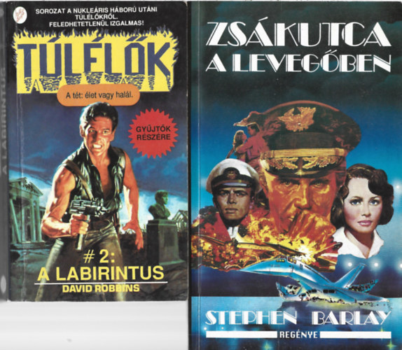 2 db könyv, David Robbins: A labirintus, Stephen Barlay: Zsákutca a levegőben antikvár