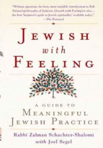 Jewish With Feeling: A Guide to Meaningful Jewish Practice antikvár