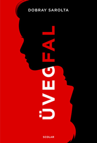 Dobray Sarolta: Üvegfal könyv