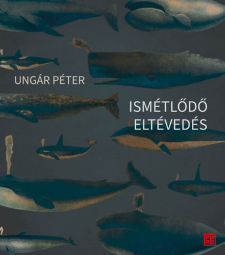 Ismétlődő eltévedés akciós termékkép 1