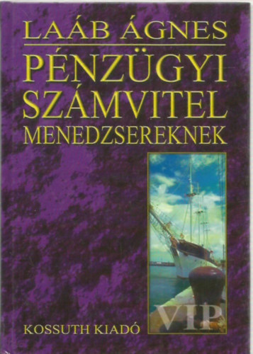 Laáb Ágnes: Pénzügyi számvitel menedzsereknek antikvár