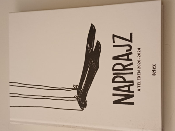 Merényi Dániel: Napirajz a telexen 2020-2024 antikvár