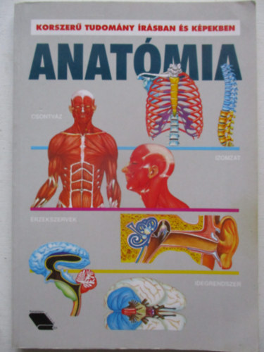 Falukönyv-Ciceró Kft.: Anatómia (korszerű tudomány írásban és képekben) antikvár