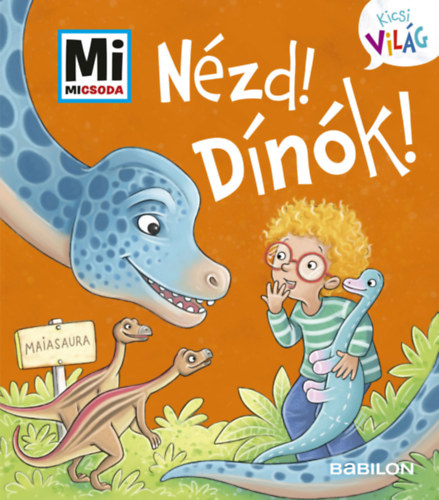 Benjamin Schreuder: Nézd! Dínók! könyv