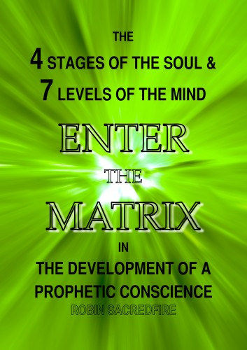 Robin Sacredfire: Enter the Matrix e-Könyv