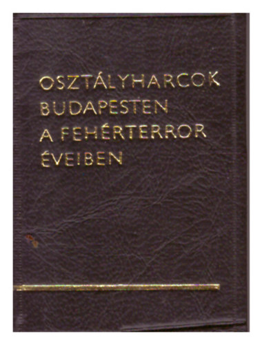 Osztályharcok Budapesten a fehérterror éveiben (minikönyv) antikvár
