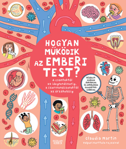 Claudia Martin: Hogyan működik az emberi test? könyv