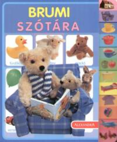 Brumi szótára könyv