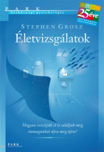 Stephen Grosz: Életvizsgálatok antikvár