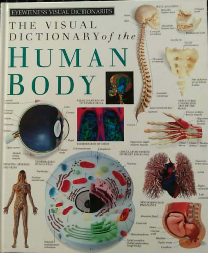 The Visual Dictionary of the Human Body antikvár