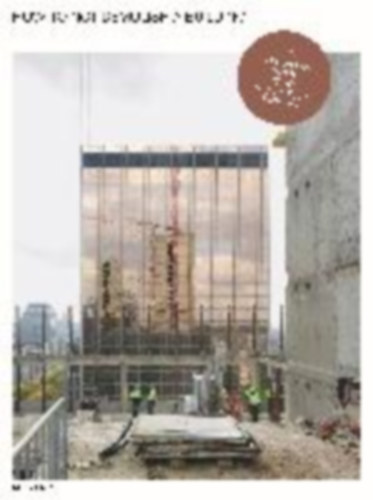Persyn, Freek - Gess, Alessandro - Leyssen, Dieter: How to not demolish a building idegen