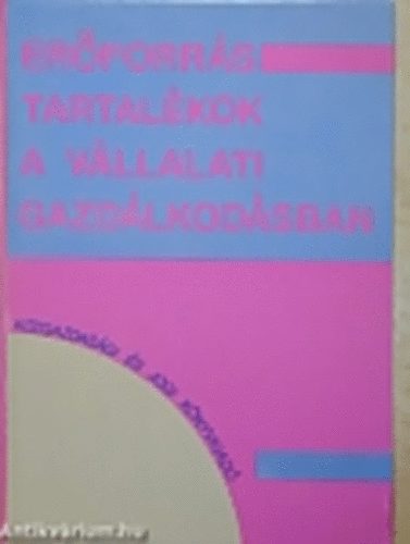 Balaton-Berács-Chikán-Fazekas-Járai-Pálfy-Paprika: Erőforrás-tartalékok a vállalati gazdálkodásban antikvár