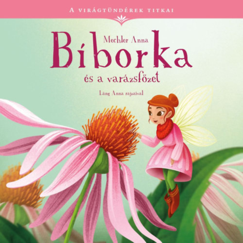 Mechler Anna: Bíborka és a varázsfőzet könyv