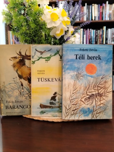 Fekete István: KÖNYVCSOMAG,3 DB. FEKETE ISTVÁN KÖNYVEK. Téli berek, Tüskevár, Barangolások antikvár