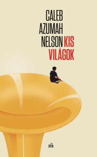 Caleb Azumah Nelson: Kis világok könyv