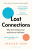 Johann Hari: Lost Connections idegen