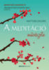 Matthieu Ricard: A meditáció művészete könyv