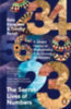 Kitagawa, Kate - Revell, Timothy: The Secret Lives of Numbers idegen
