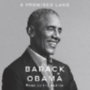 Obama, Barack: A Promised Land idegen