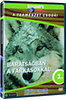 A természet csodái 01. - Barátságban a farkasokkal - DVD DVD