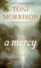 Morrison, Toni: A Mercy idegen