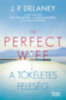 J.P. Delaney: The Perfect Wife - A tökéletes feleség e-Könyv