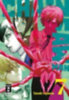 Fujimoto, Tatsuki: Chainsaw Man 07 idegen