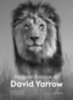 David Yarrow: Hogyan fotózok én - David Yarrow könyv