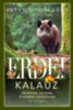 Peter Wohlleben: Erdei kalauz e-Könyv