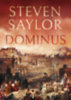 Steven Saylor: Dominus könyv