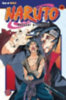 Kishimoto, Masashi: Naruto 43 idegen