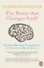 Doidge, Norman: The Brain That Changes Itself idegen