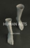Kang, Han: Human Acts idegen