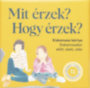 Mit érzek? Hogy érzek? játékkártya