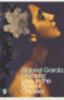 Gabriel García Márquez: Love in the Time of Cholera idegen