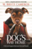 W. Bruce Cameron: A Dog's Way Home idegen