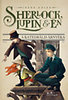 Irene Adler: Sherlock, Lupin és Én 4. - A katedrális árnyéka e-Könyv