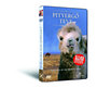 A pityergő teve története - DVD DVD
