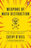 O'Neil, Cathy: Weapons of Math Destruction idegen