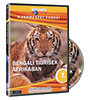 A természet csodái 07. -  Bengáli tigrisek afrikában DVD
